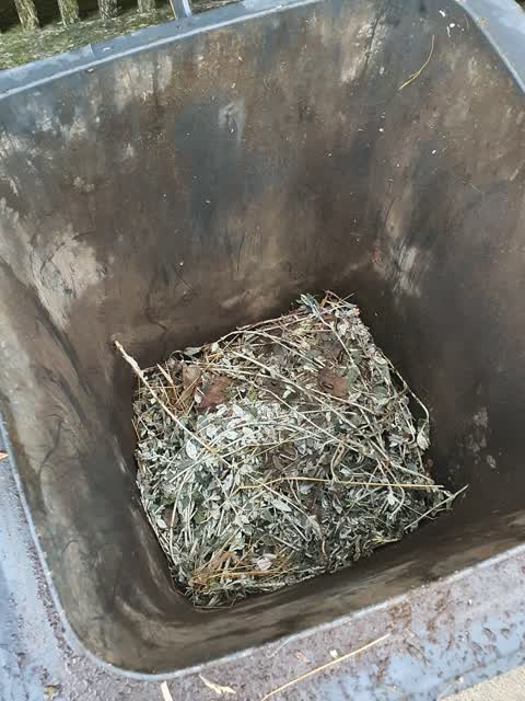Rubbish/Recycling, a report photo