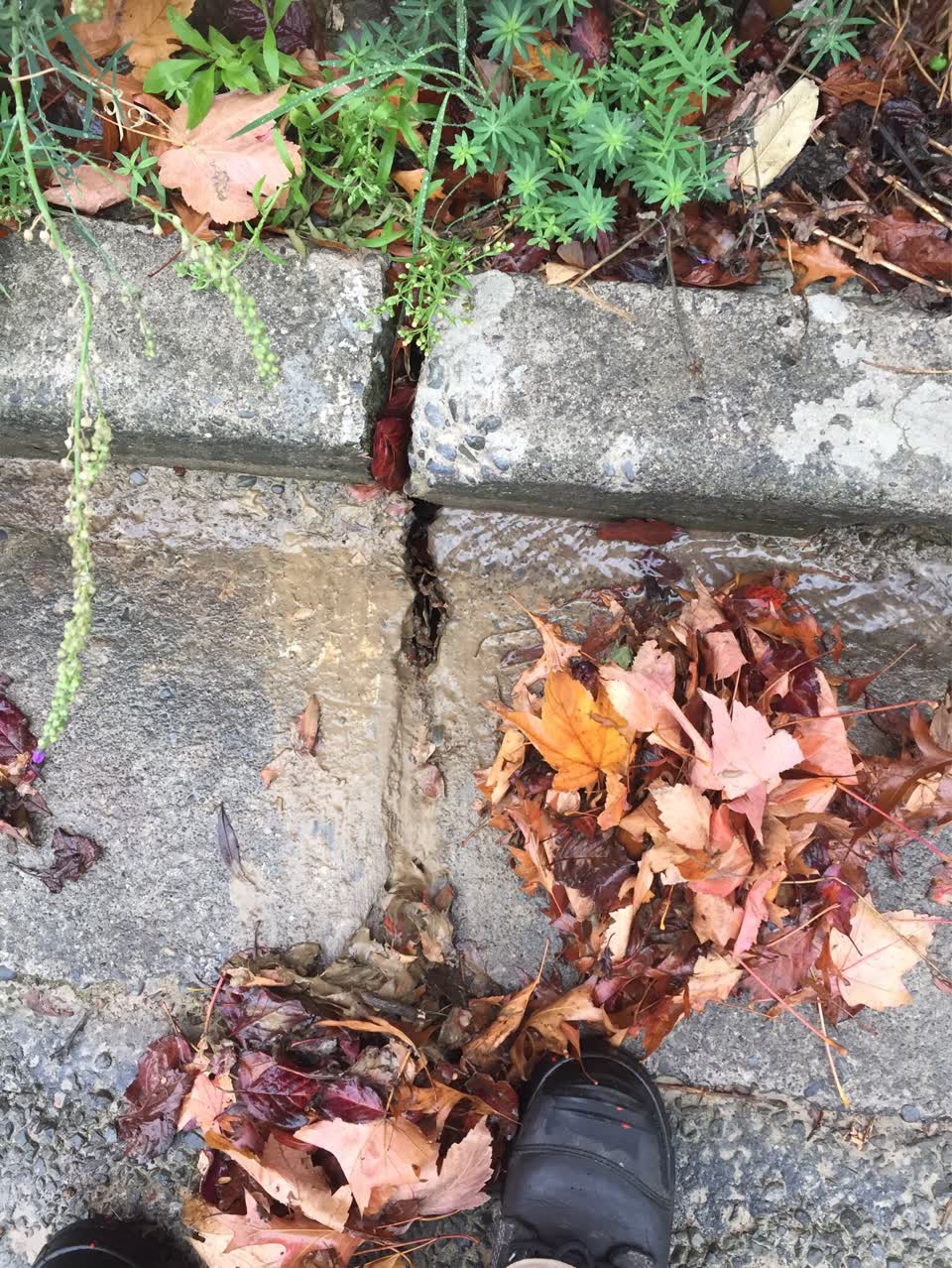 The photograph attached to this wastewater/stormwater report