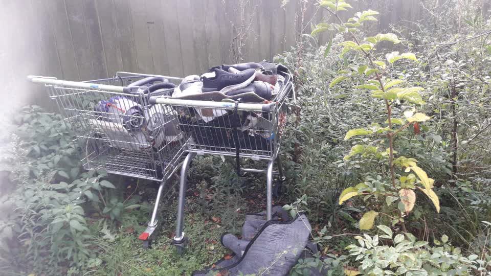 The photograph attached to this parks report