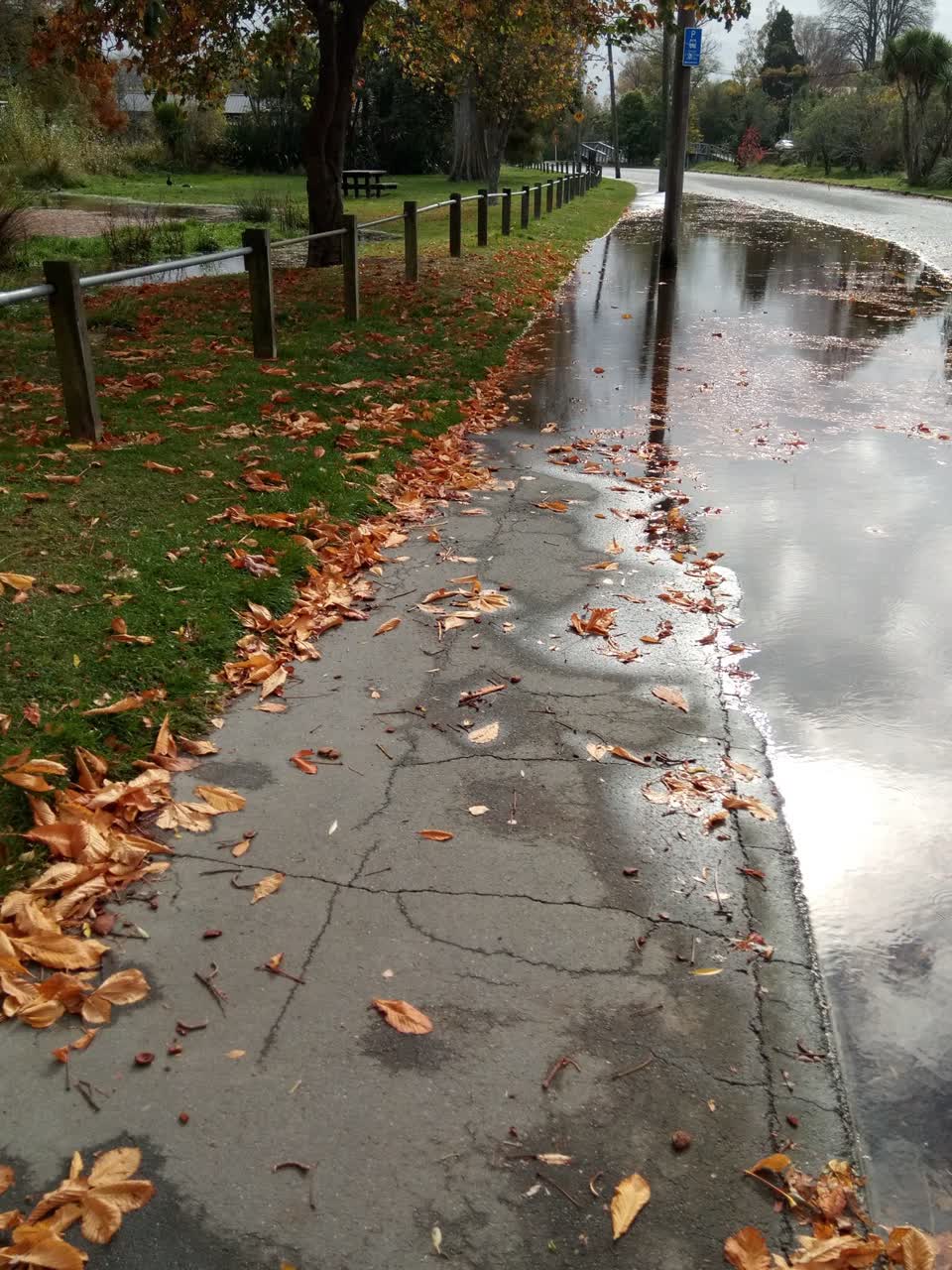 The photograph attached to this flooding report