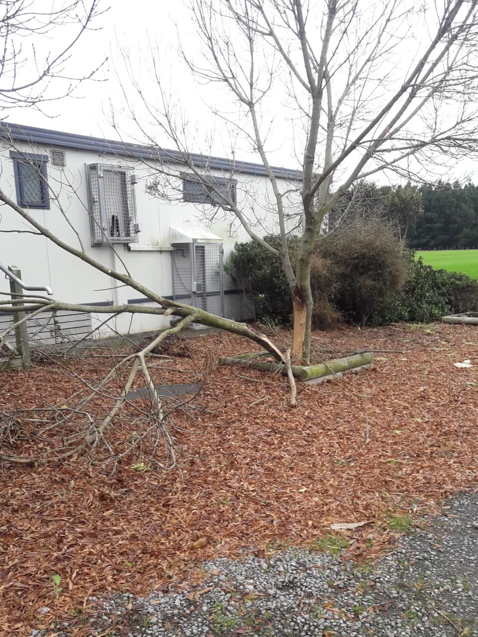 The photograph attached to this parks report