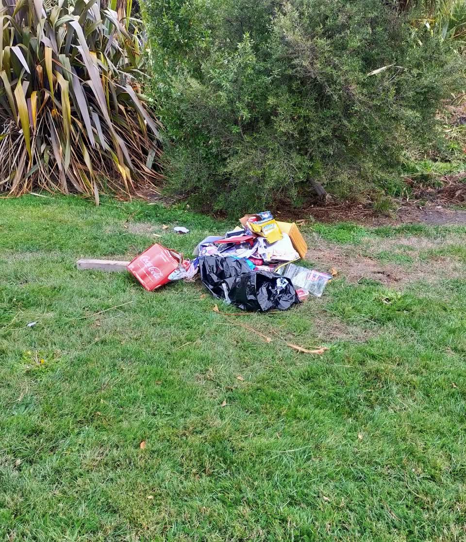 The photograph attached to this rubbish/recycling report