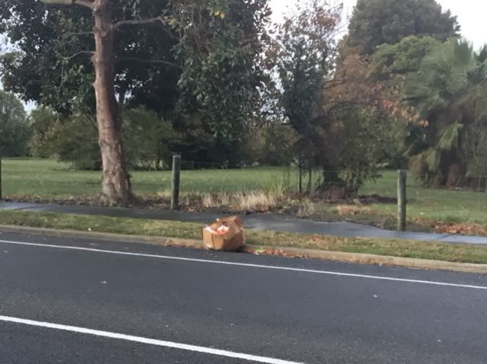 The photograph attached to this rubbish/recycling report