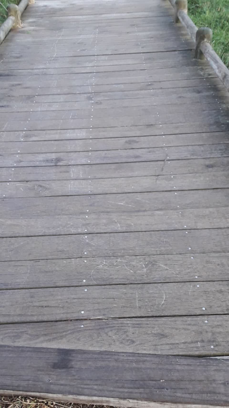 The photograph attached to this parks report