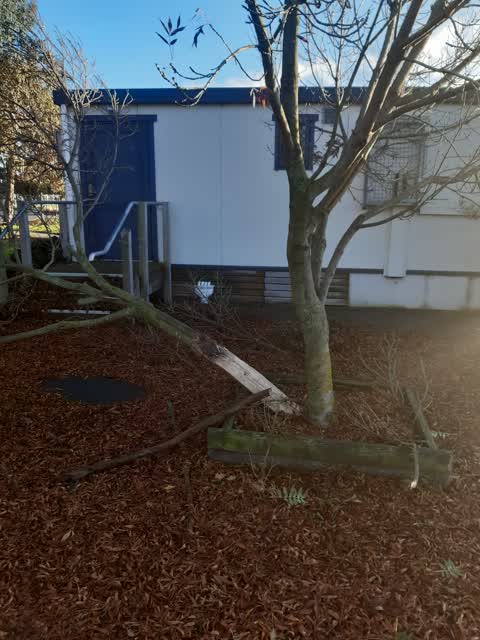 Parks, a report photo