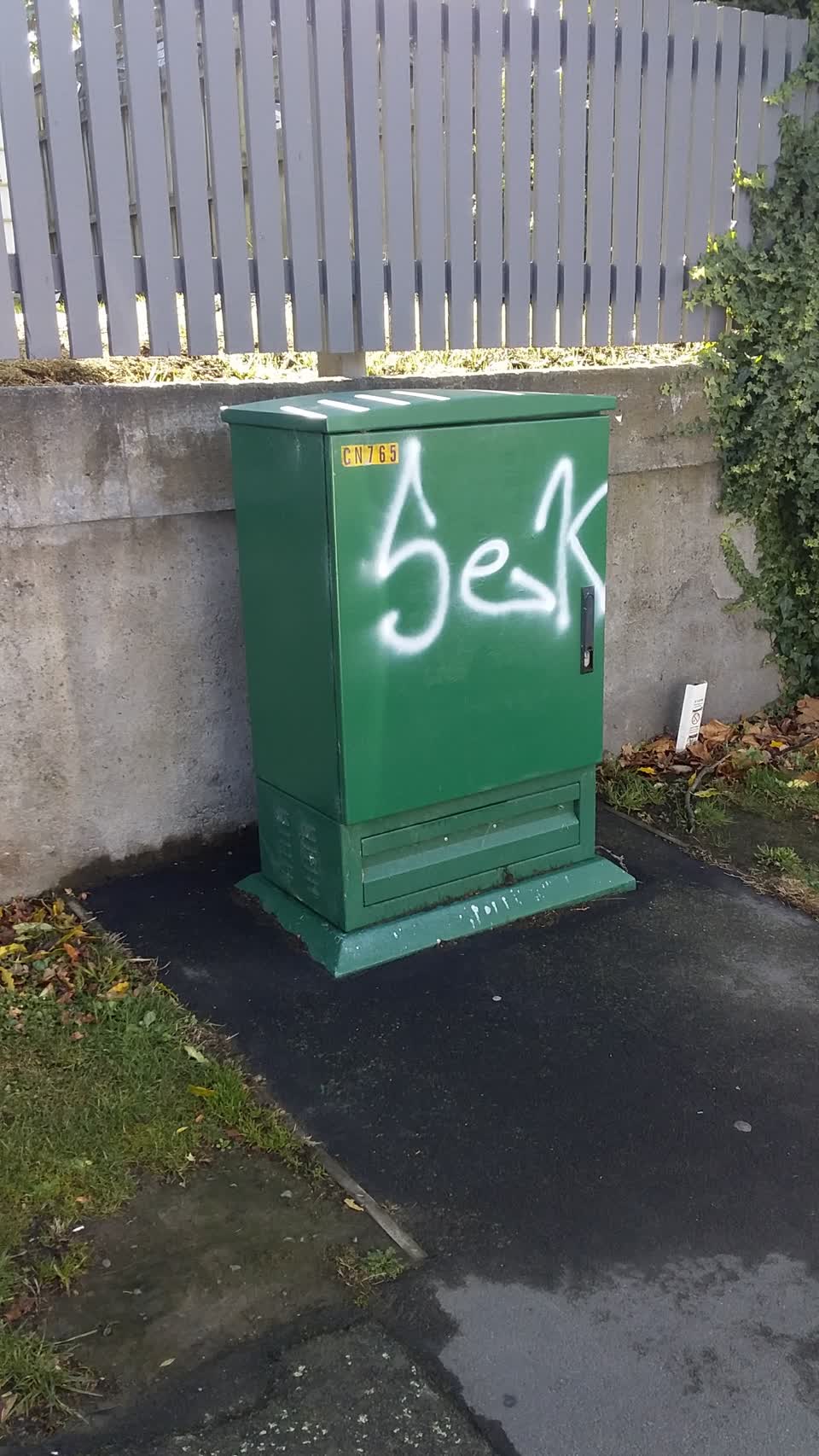The photograph attached to this graffiti report