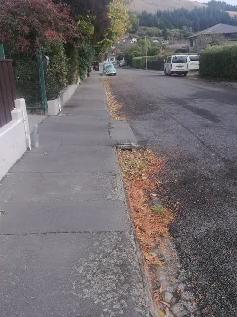 Roading/Streets — a report photo
