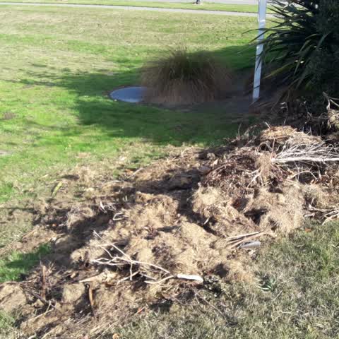 Parks, a report photo