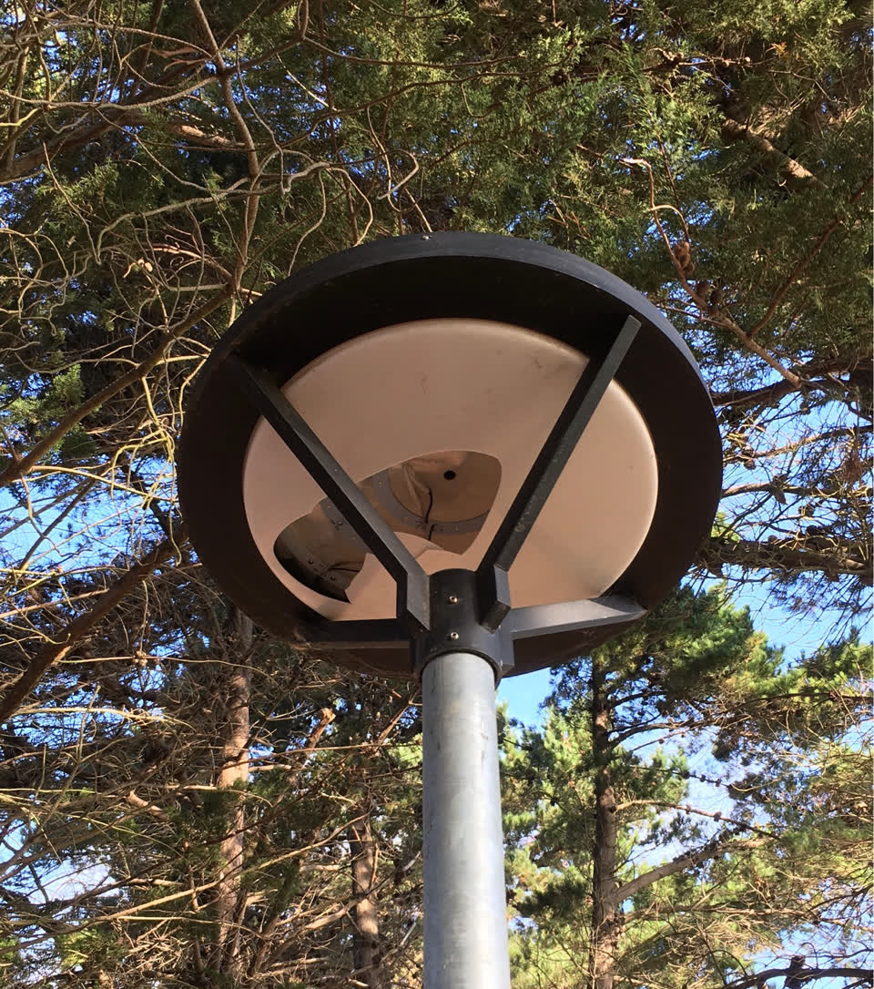 The photograph attached to this parks report