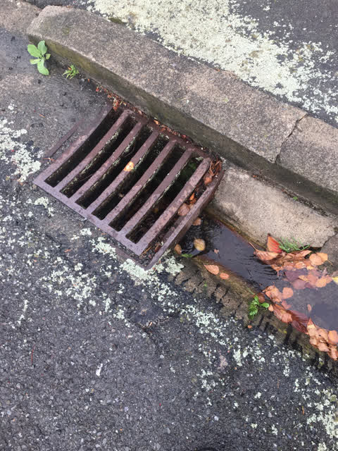 Wastewater/Stormwater, a report photo
