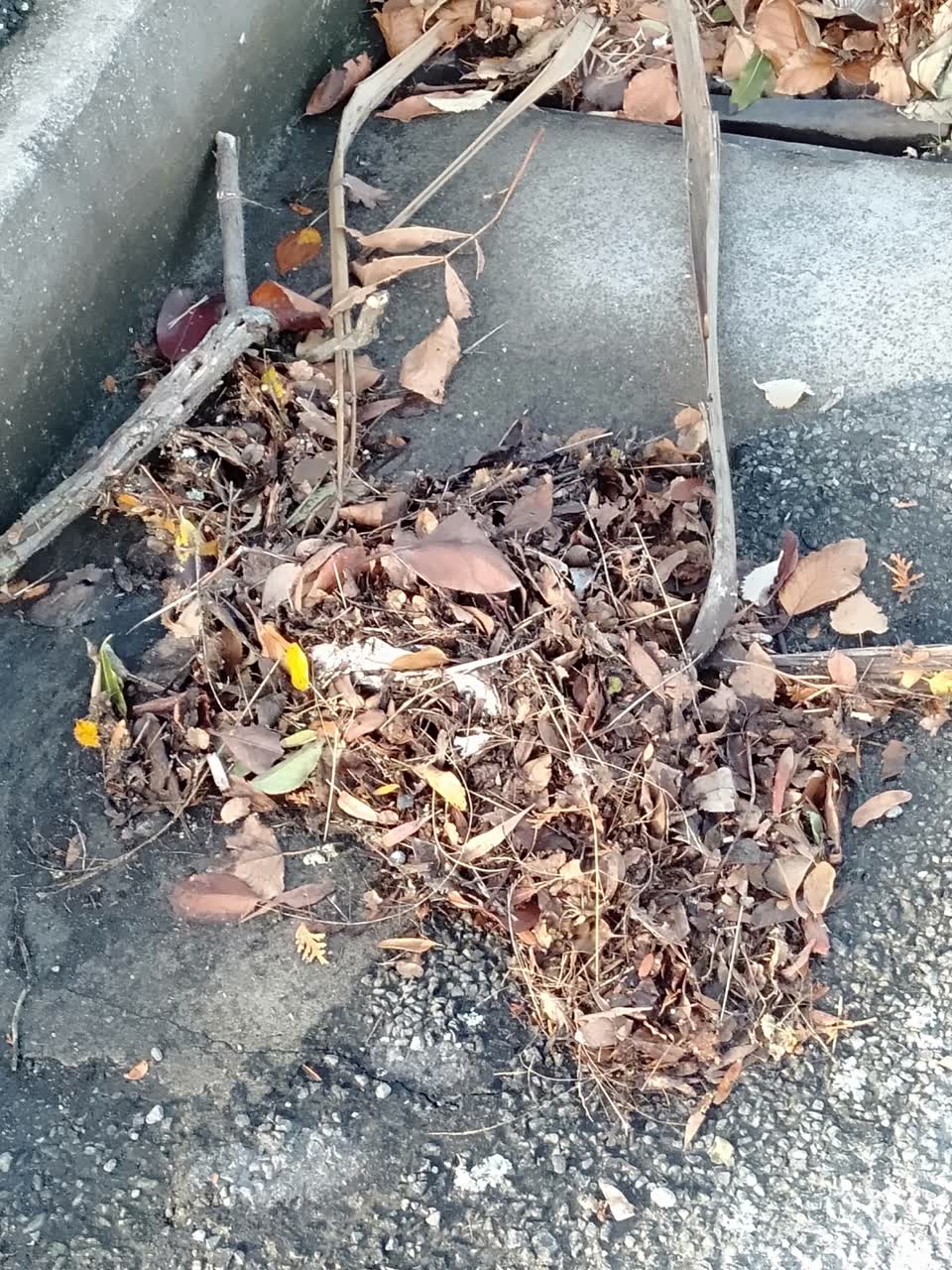 The photograph attached to this wastewater/stormwater report
