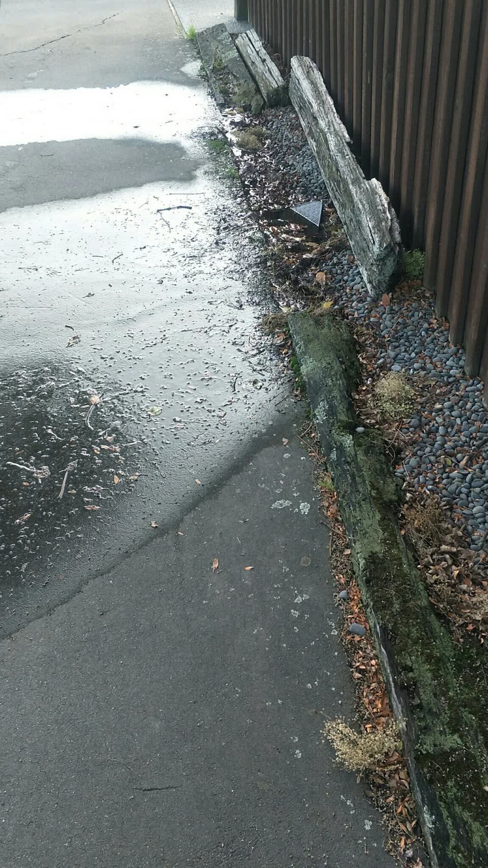 The photograph attached to this water supply report