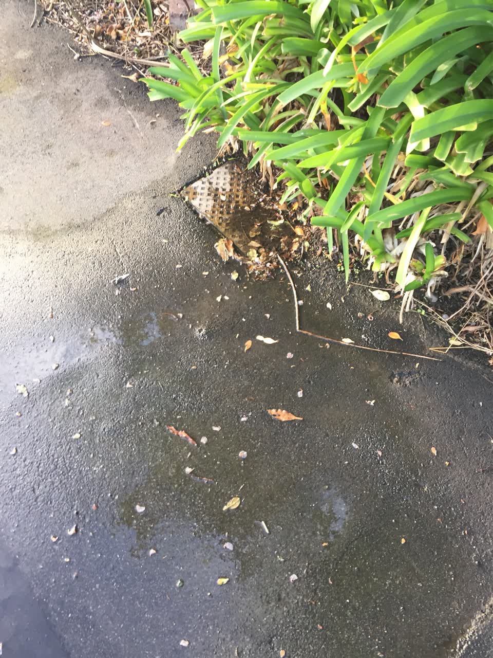 The photograph attached to this water supply report