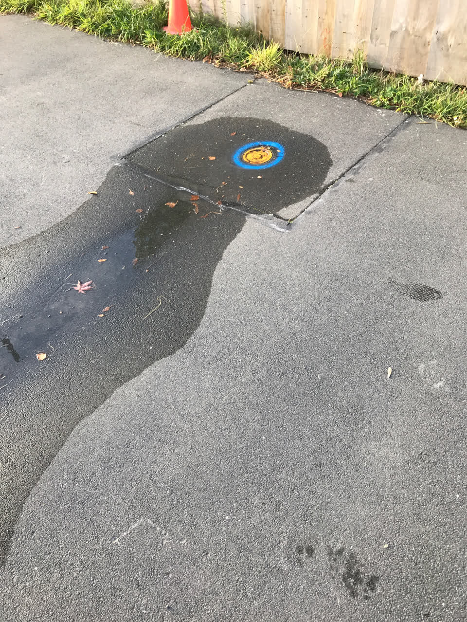 The photograph attached to this water supply report