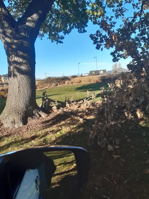 Parks, a report photo