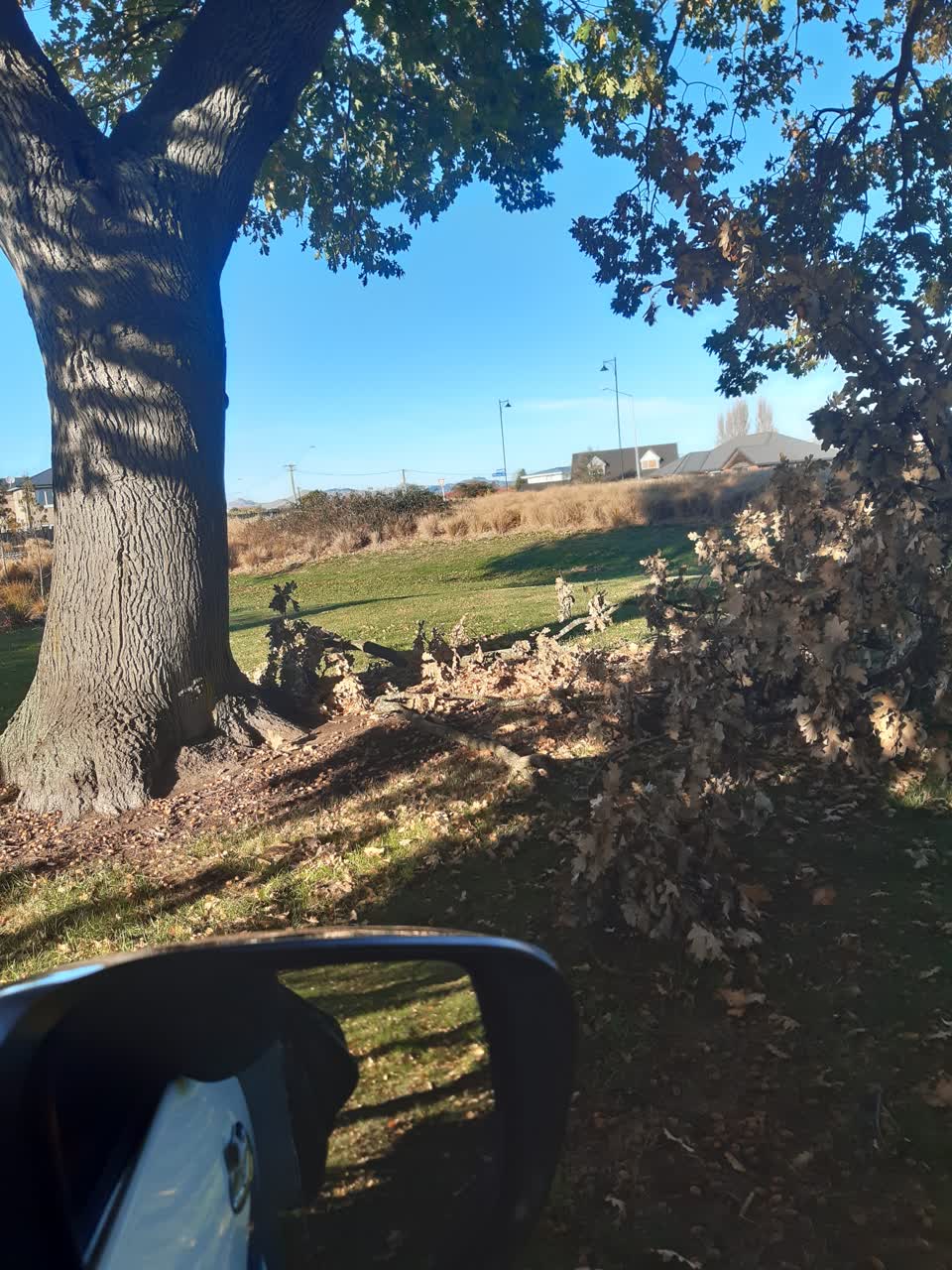 The photograph attached to this parks report