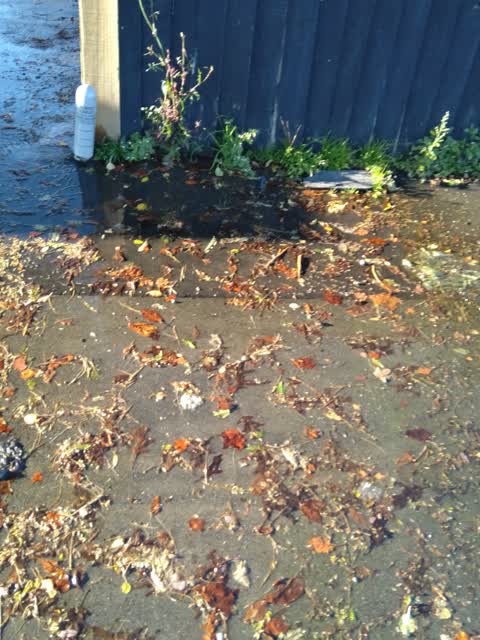 Flooding — a report photo