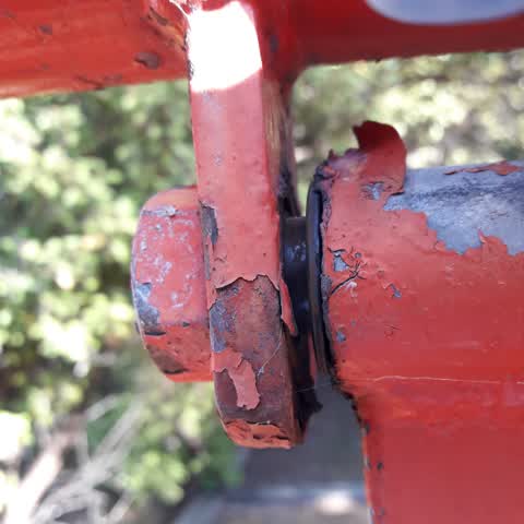 Parks, a report photo
