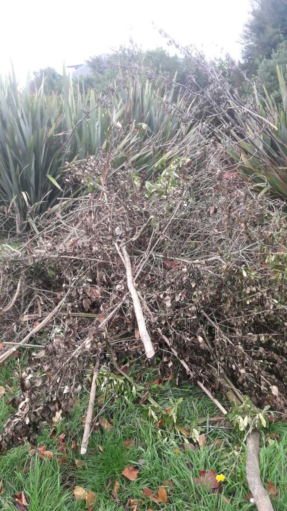 The photograph attached to this parks report