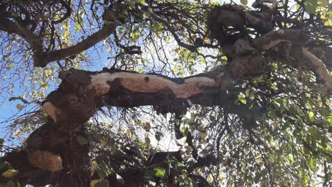 Parks, a report photo