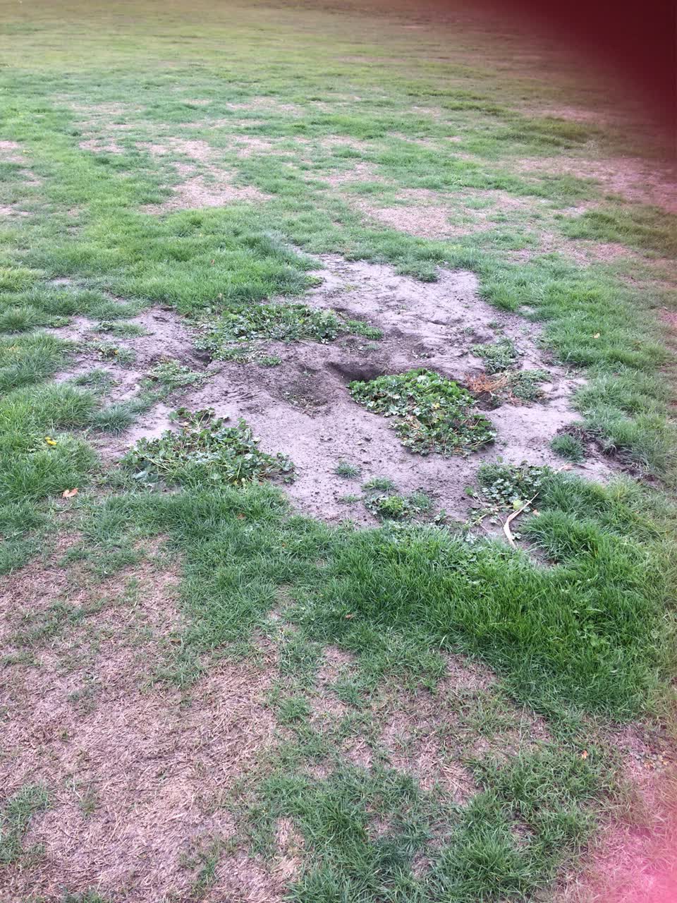The photograph attached to this parks report