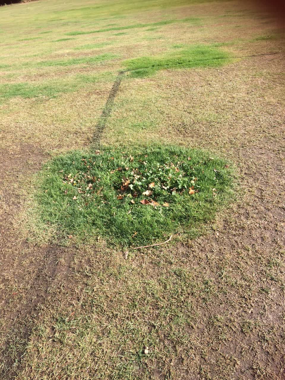 The photograph attached to this parks report