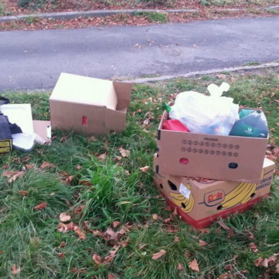 The photograph attached to this rubbish/recycling report