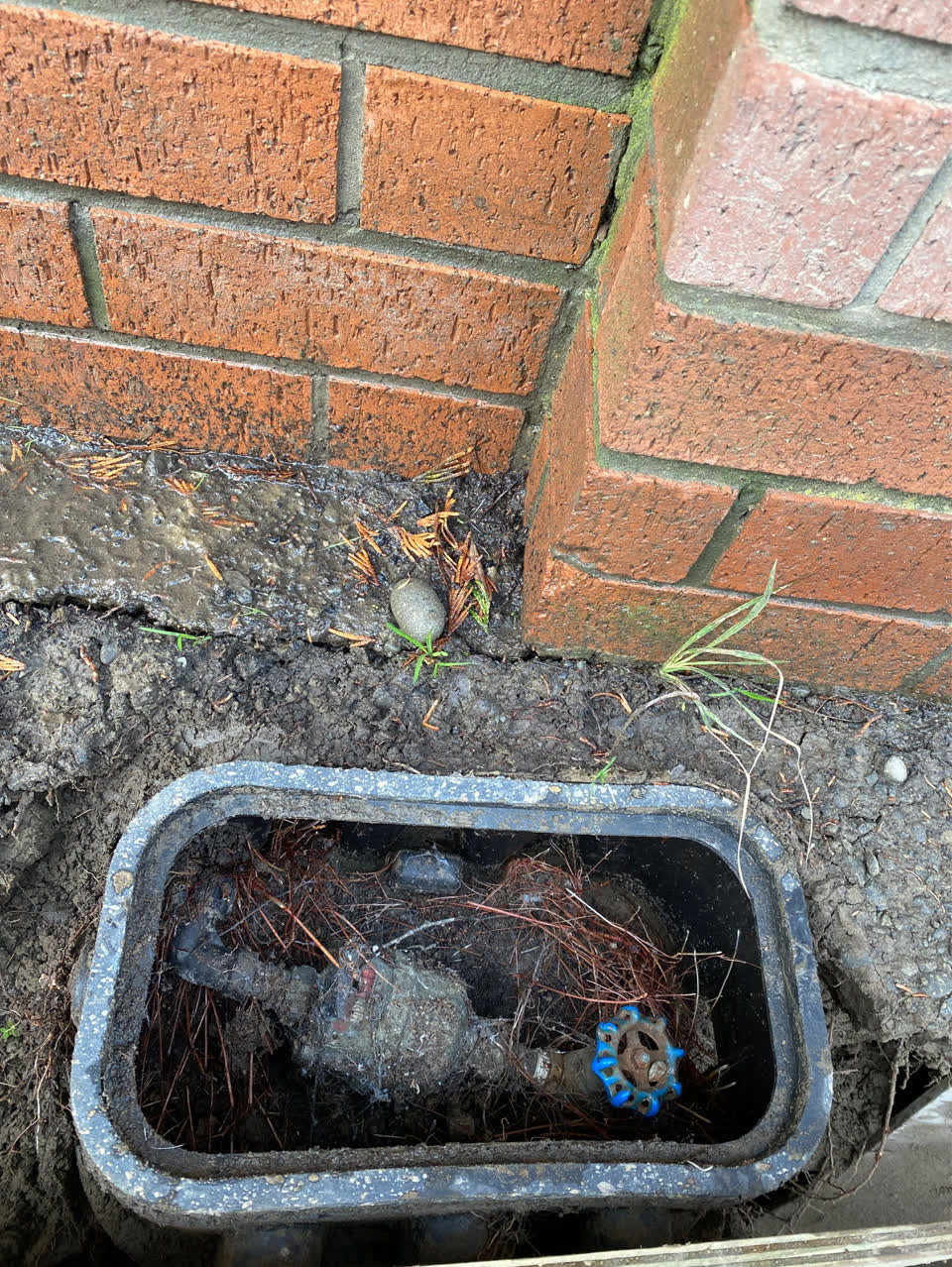 The photograph attached to this water supply report