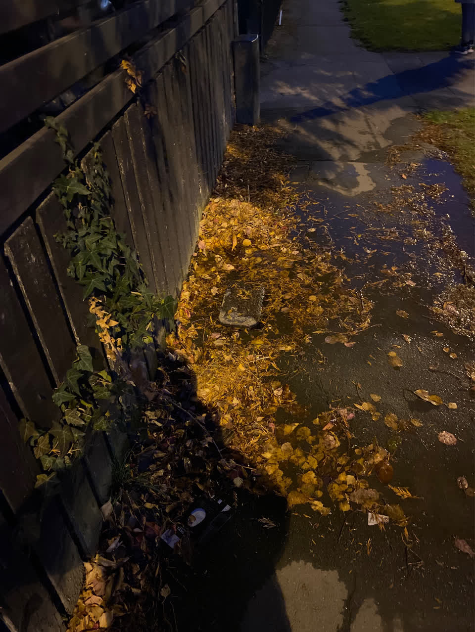 The photograph attached to this wastewater/stormwater report