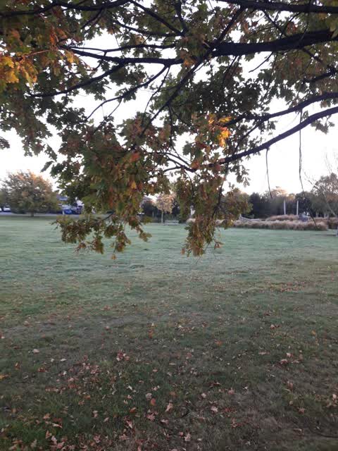 Parks, a report photo