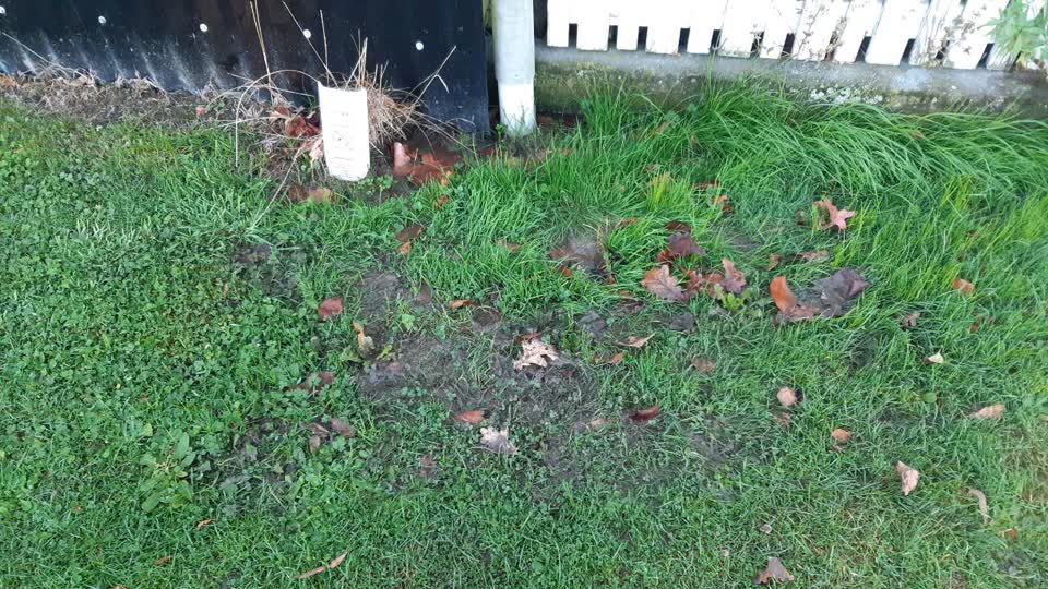 The photograph attached to this water supply report