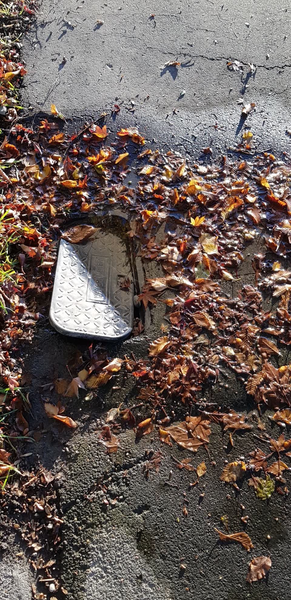 The photograph attached to this water supply report