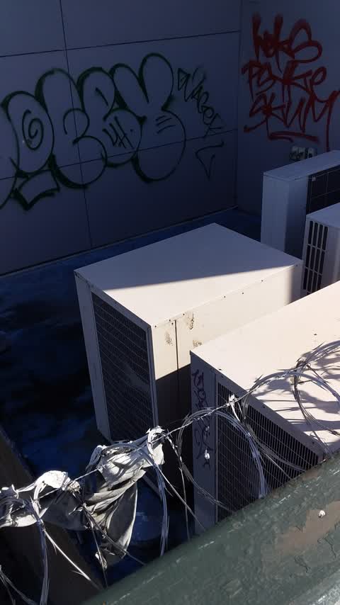 Graffiti, a report photo