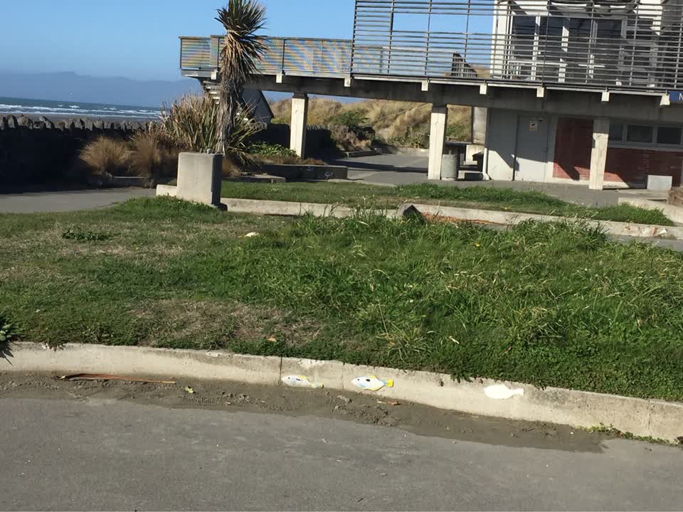 The photograph attached to this parks report
