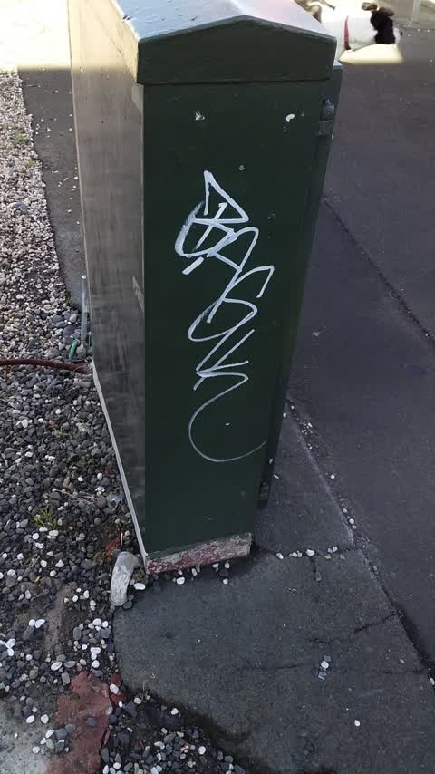 Graffiti, a report photo