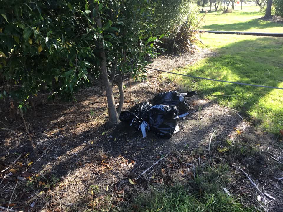 The photograph attached to this rubbish/recycling report