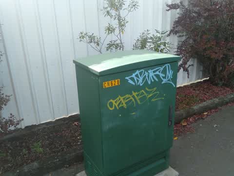 Graffiti — a report photo