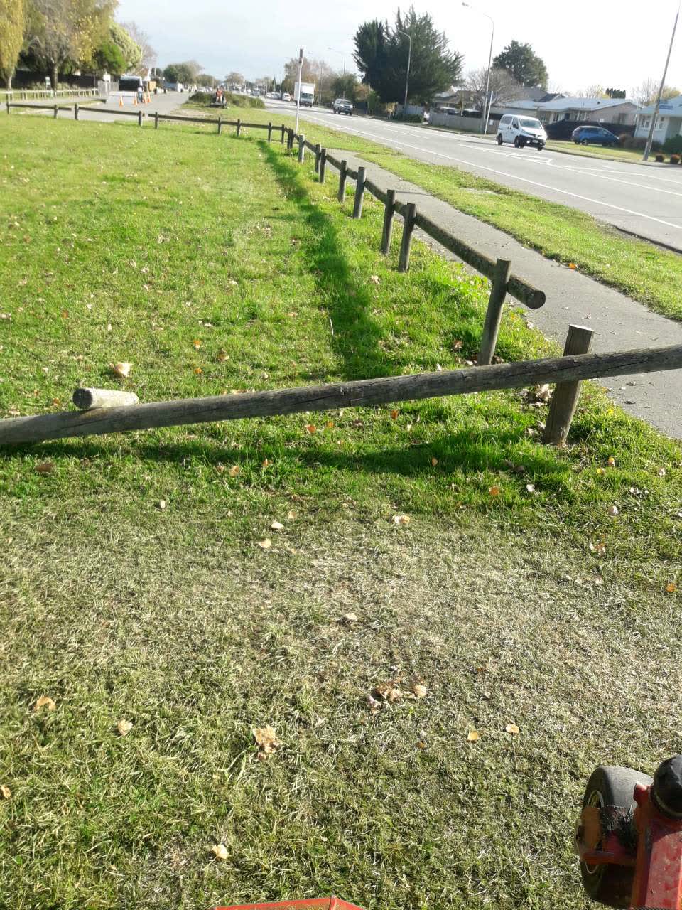 The photograph attached to this parks report