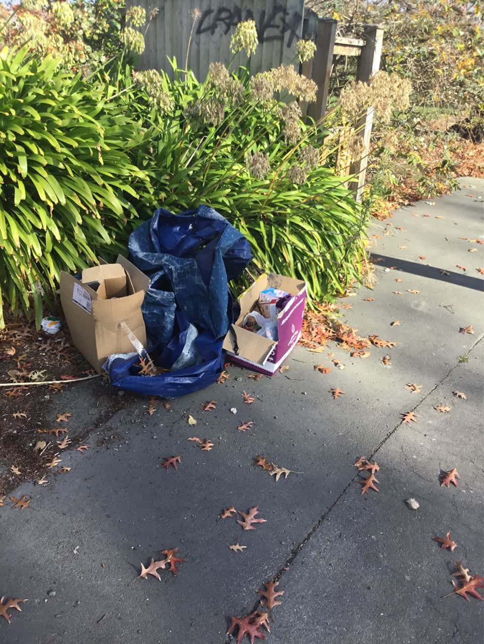 The photograph attached to this rubbish/recycling report
