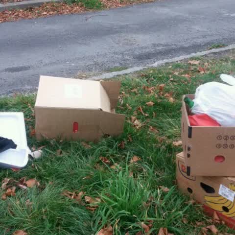 Rubbish/Recycling, a report photo