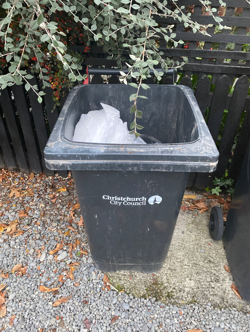 The photograph attached to this rubbish/recycling report