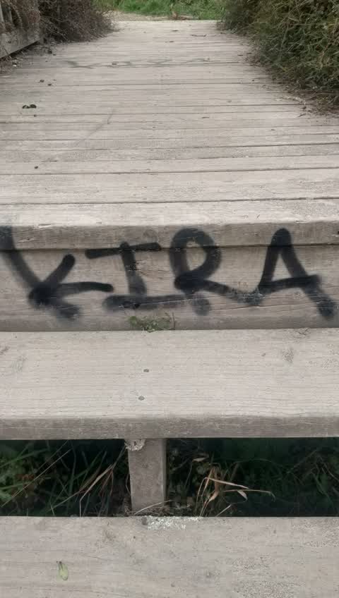 Graffiti, a report photo