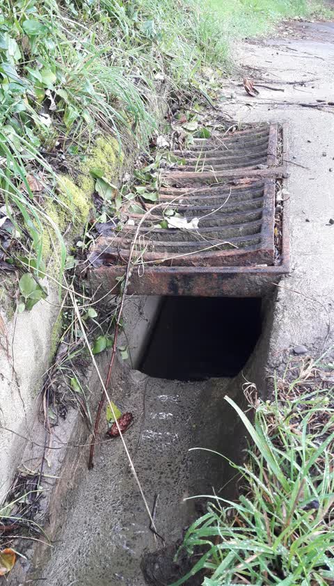 Wastewater/Stormwater, a report photo