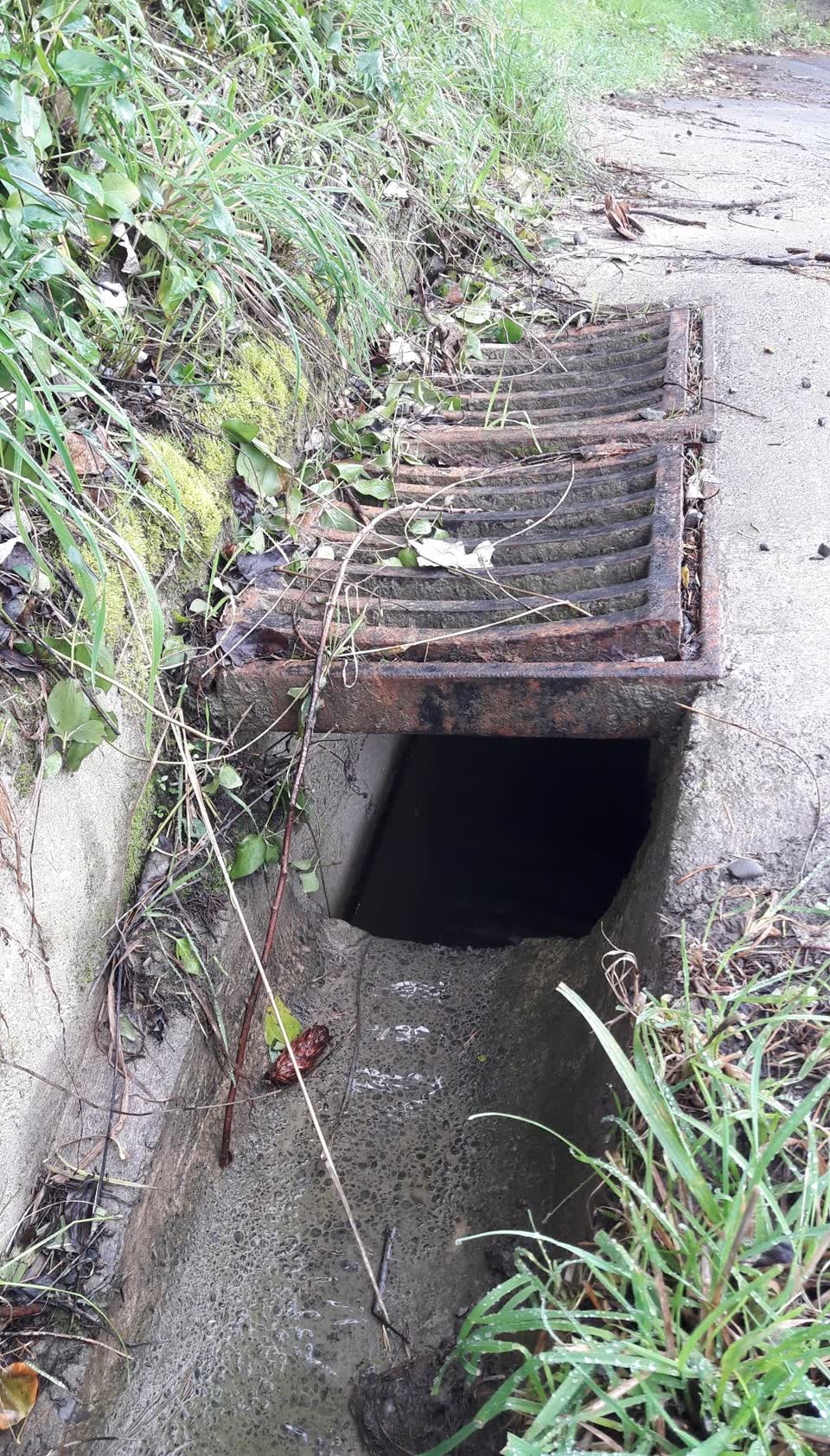 The photograph attached to this wastewater/stormwater report