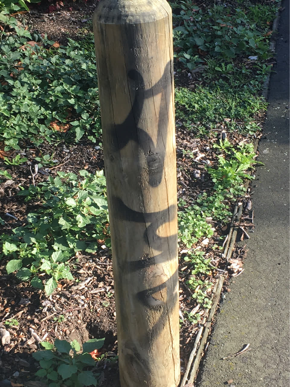 The photograph attached to this graffiti report