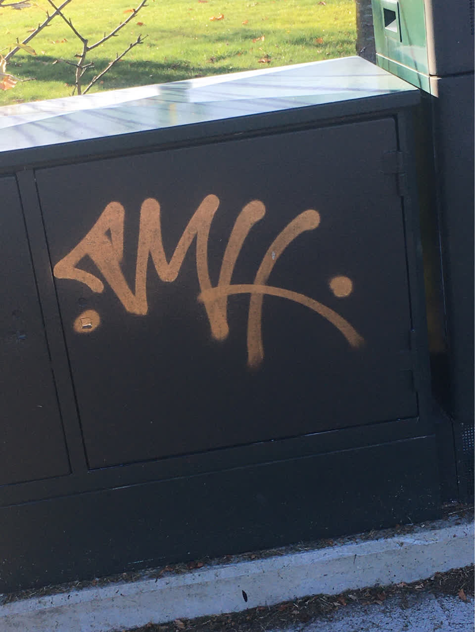 The photograph attached to this graffiti report