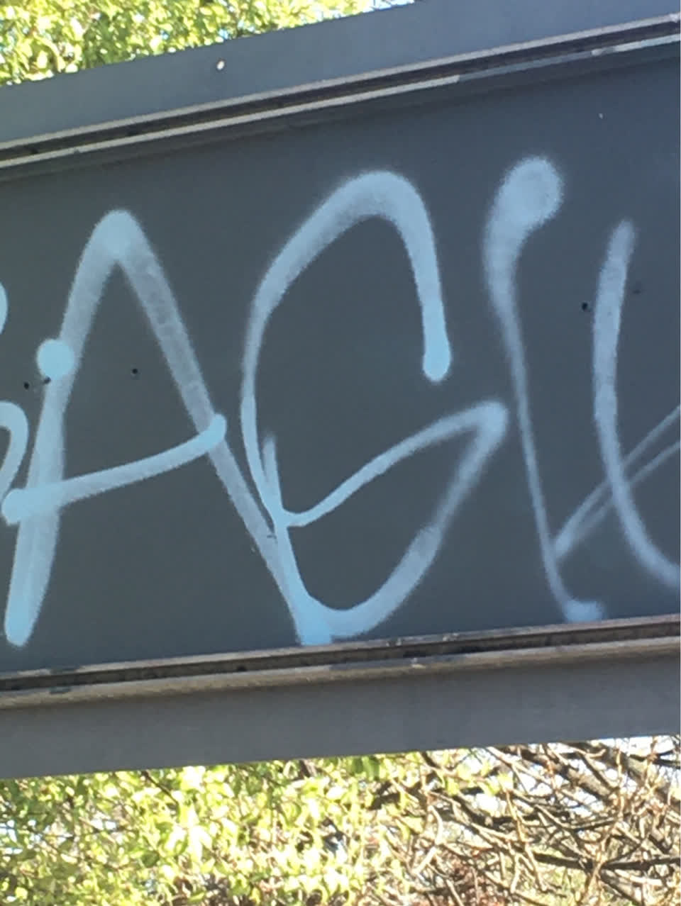 The photograph attached to this graffiti report