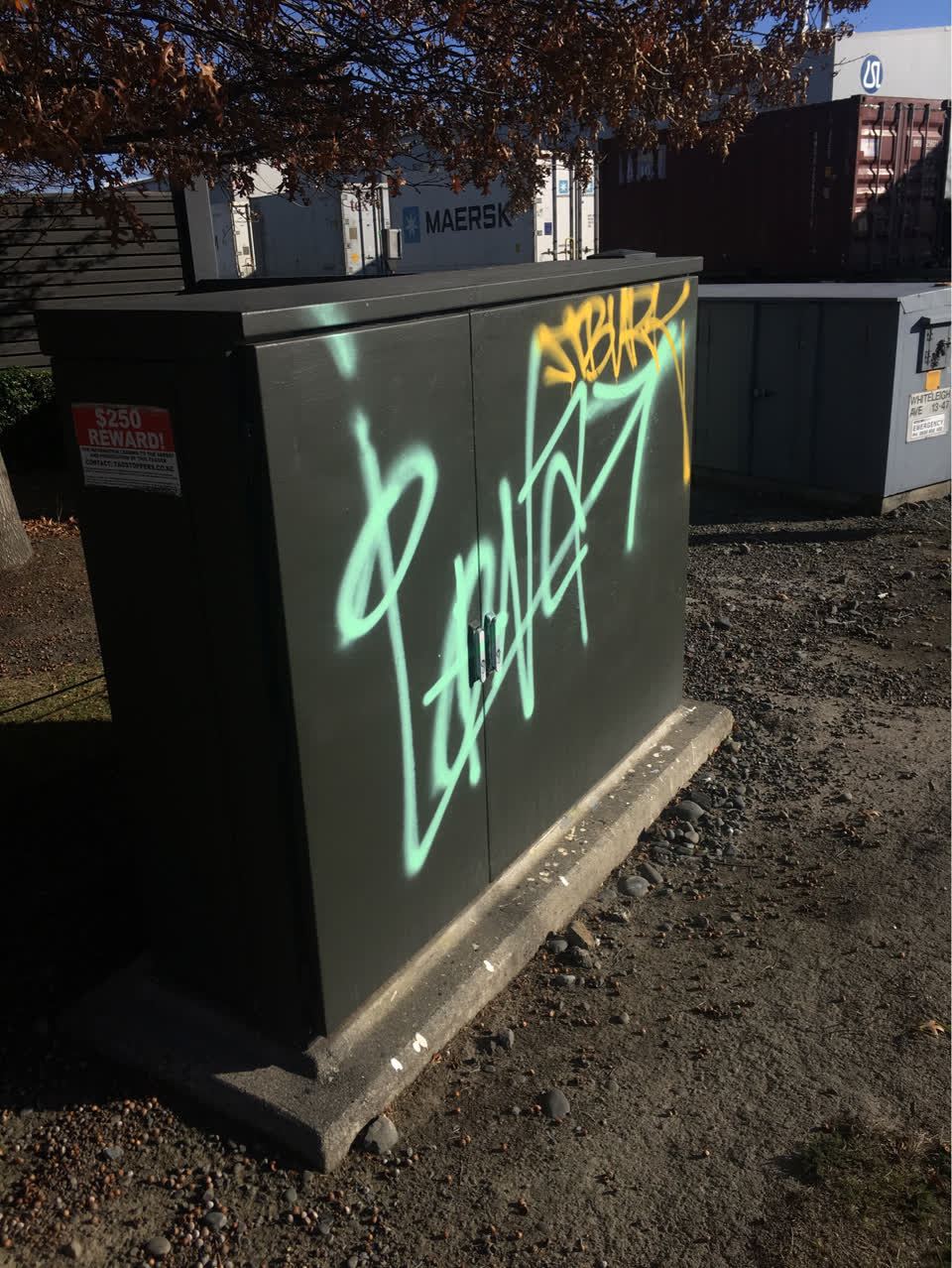 The photograph attached to this graffiti report