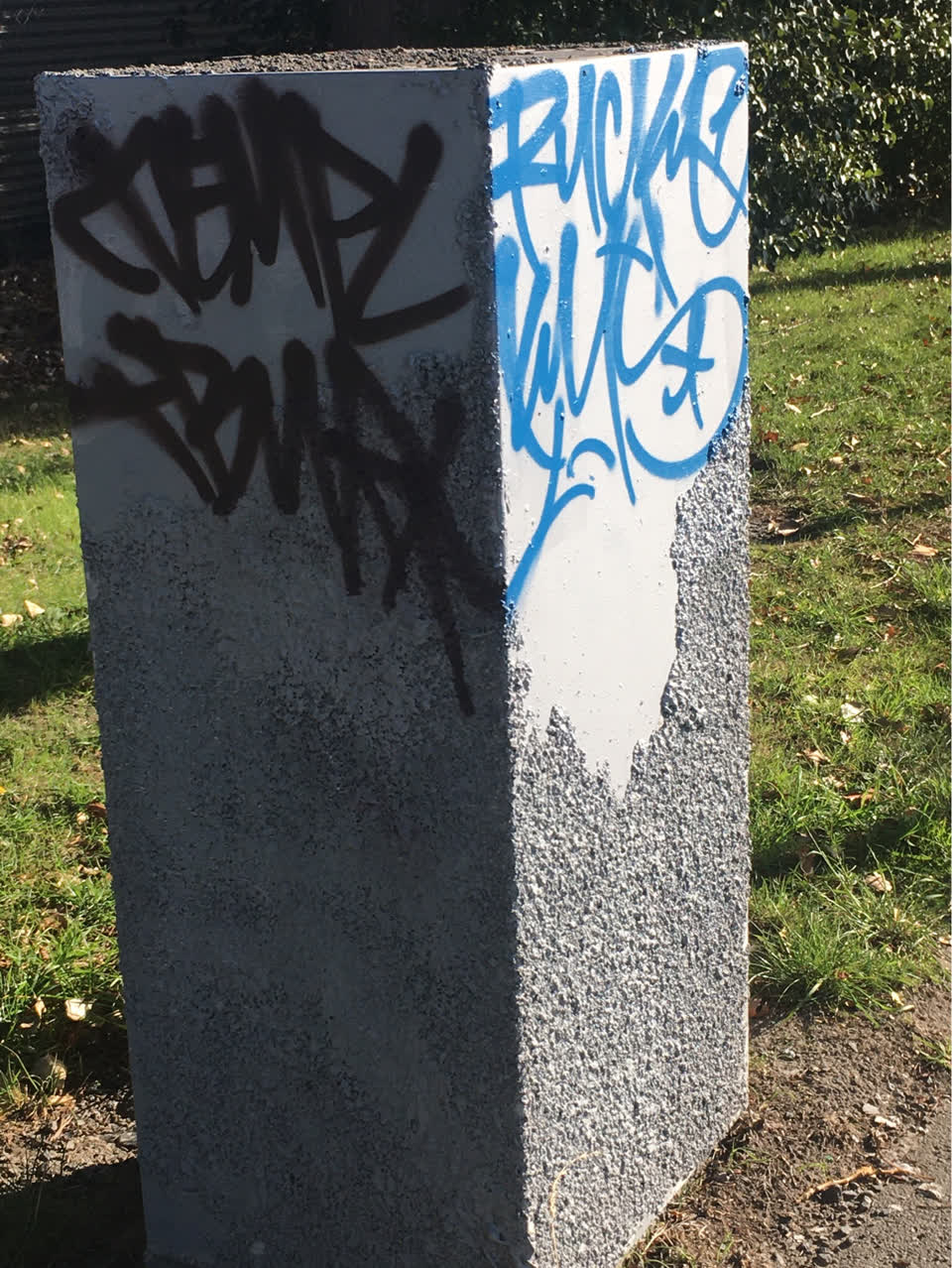 The photograph attached to this graffiti report