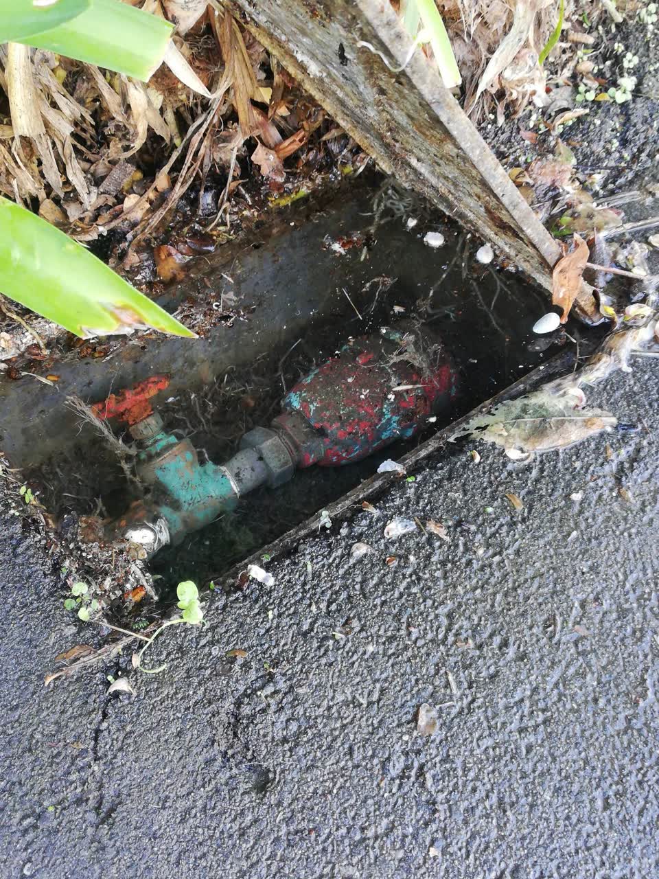 The photograph attached to this water supply report